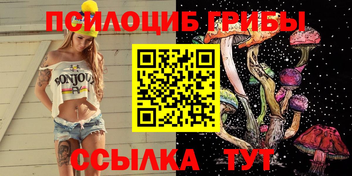 Ивантеевка  Галлюциногенные грибы прущие грибы  Вход с VPN 